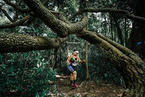 BIB: 
                            <button type="button" onclick="openModal(25705455)" class="btn btn-primary btn-sm float-right btn-popup" data-toggle="modal" data-target=".modal-high-quality">
                        <i class="fas fa-shopping-cart"></i> Add to Cart
                    </button>
                                            <button type="button" onclick="isThisMe(25705455, true)" class="btn btn-success btn-sm float-right btn-popup btn-isme hidden" data-toggle="tooltip" data-placement="bottom" title="นี่คือรูปของคุณใช่ไหม คลิกที่นี่เพื่อเอาเข้าอัลบั้ม">
                        <i class="fas fa-plus"></i> Add to album
                    </button>
                    <button type="button" onclick="isThisMe(25705455, false)" class="btn btn-warning btn-sm float-right btn-popup btn-isnotme hidden">
                        <i class="fas fa-ban"></i> Remove from album
                    </button>